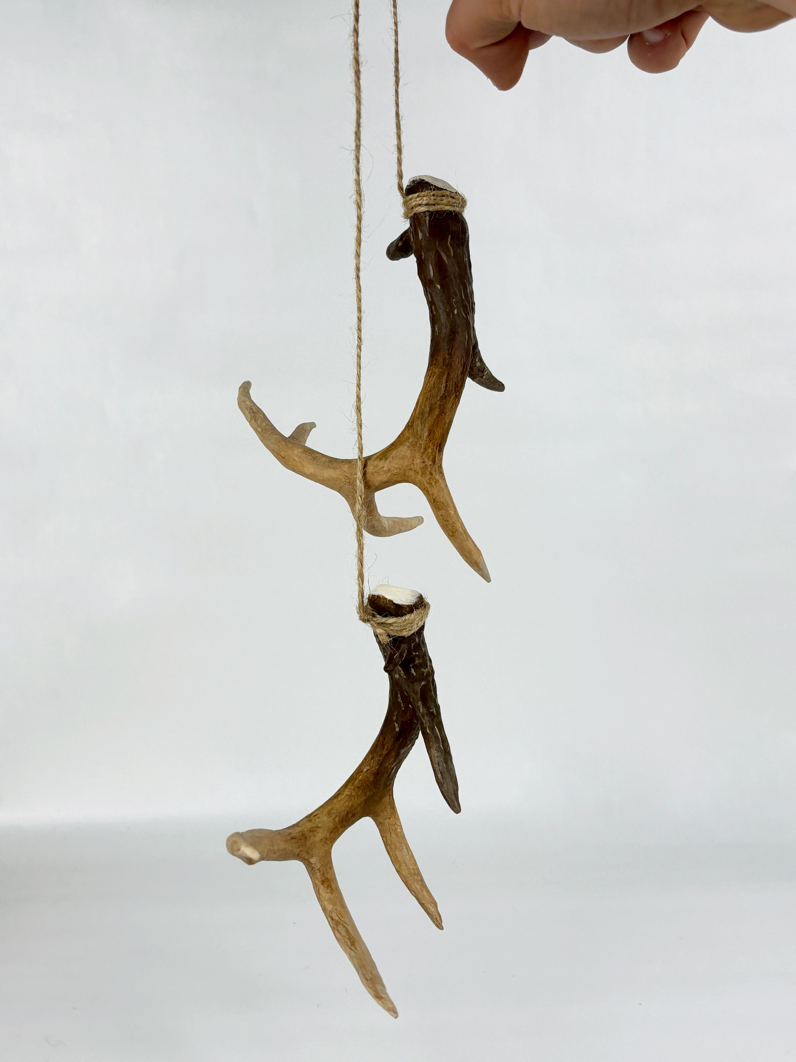 Replica Trophy Mounts | Rutt's Mini Mounts – Raccoon Rigs