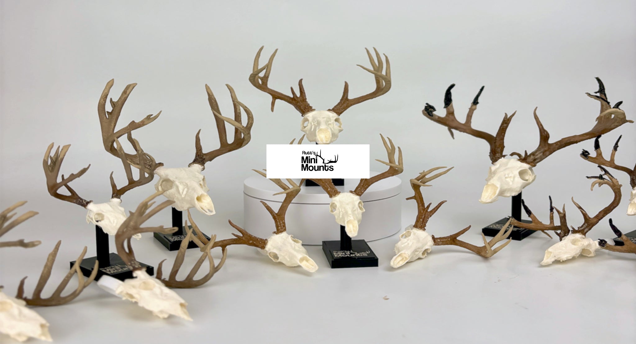 Replica Trophy Mounts | Rutt's Mini Mounts – Raccoon Rigs