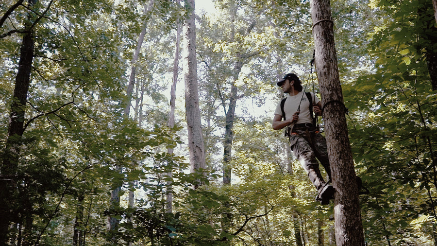 Raccoon Rigs | The BANDIT Stealth Climber™