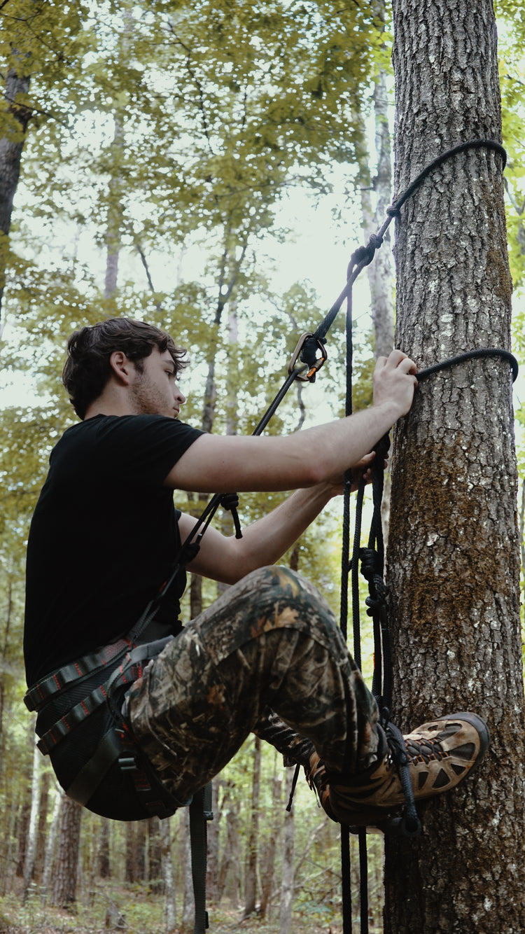 Climbing Raptors Raccoon Rigs | The BANDIT Stealth Climber™