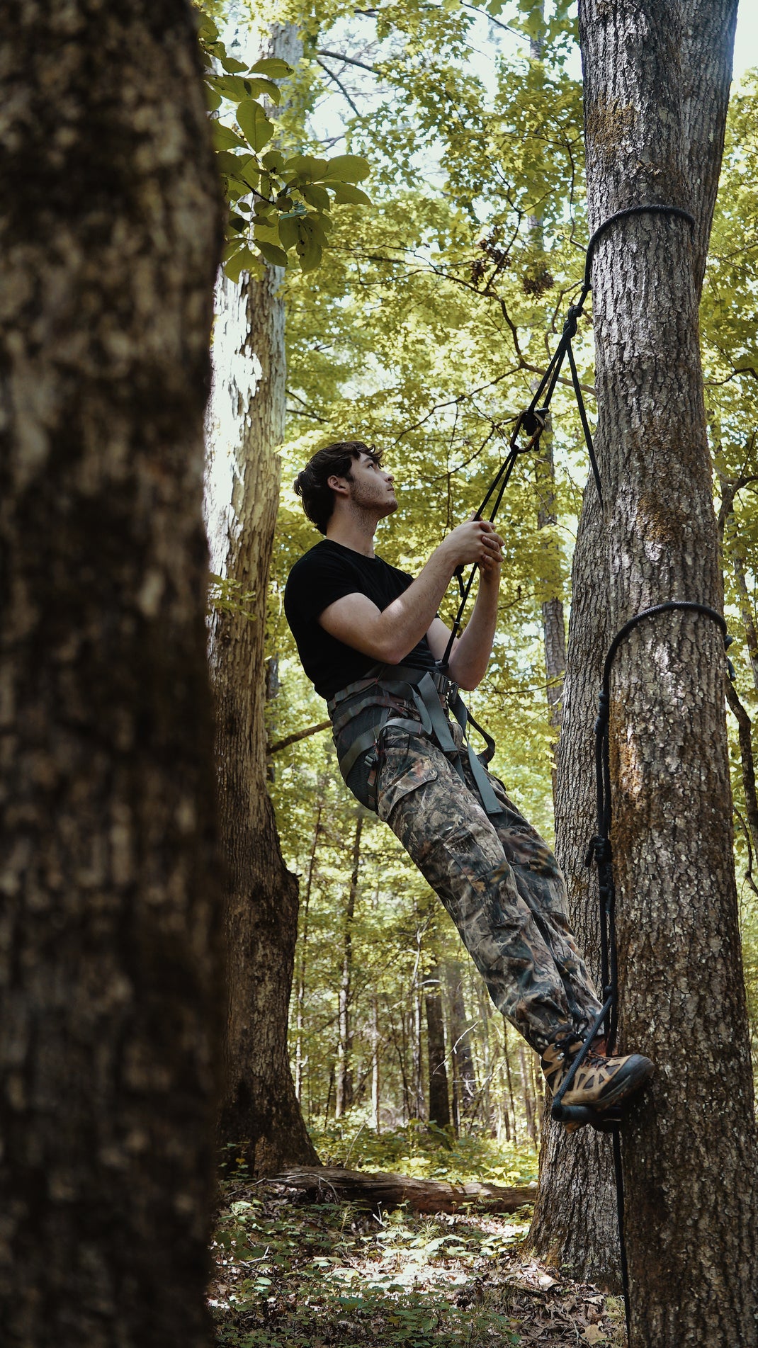 Climbing Raptors Raccoon Rigs | The BANDIT Stealth Climber™