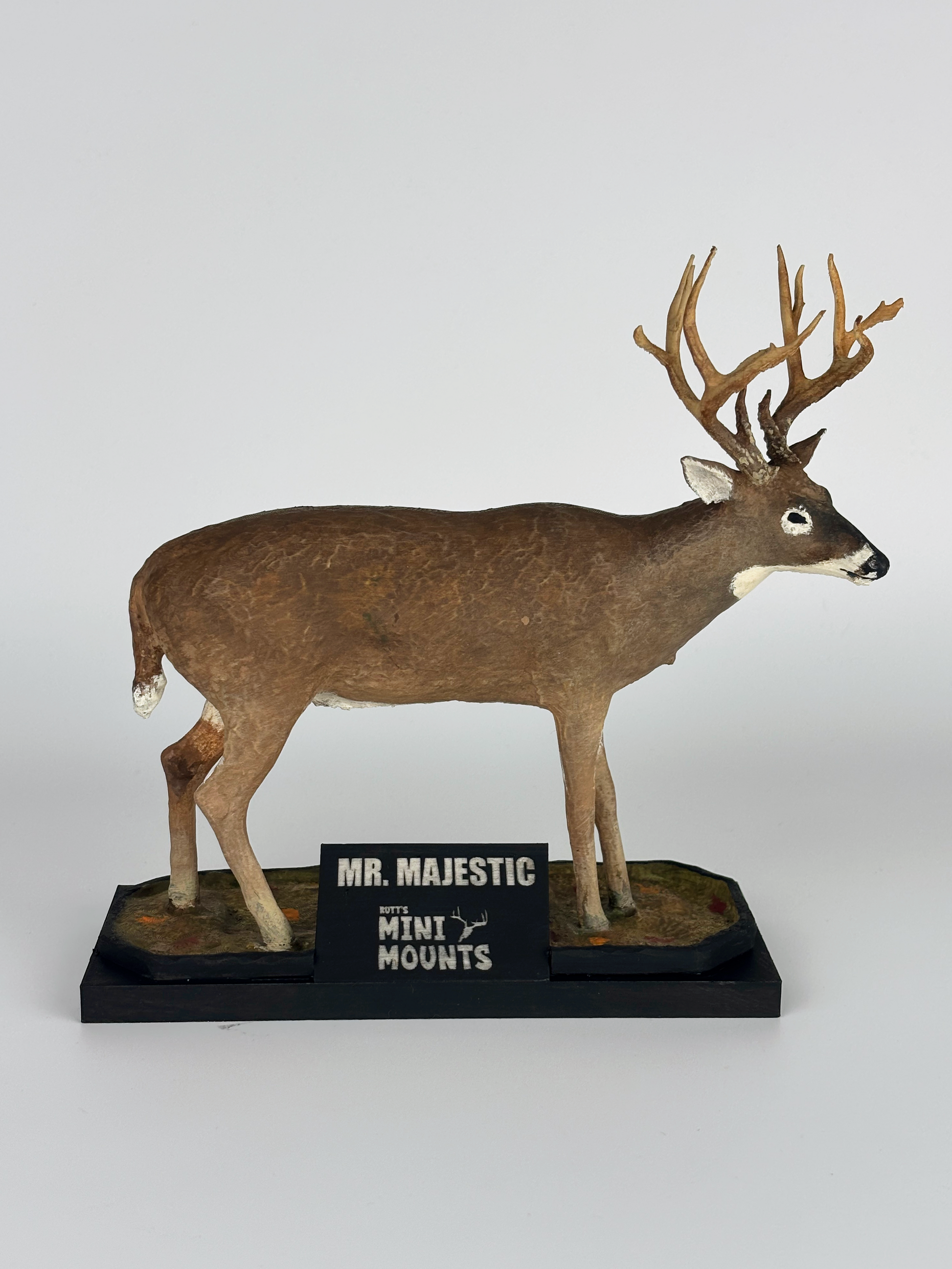 mini whitetail mount, mini deer mount, mini muleys, mini muley mount, mini full body deer mount, 18 outdoors, mr. majestic, michael perry alabama, alabama state record book buck, muzzleloader buck, state record buck replica