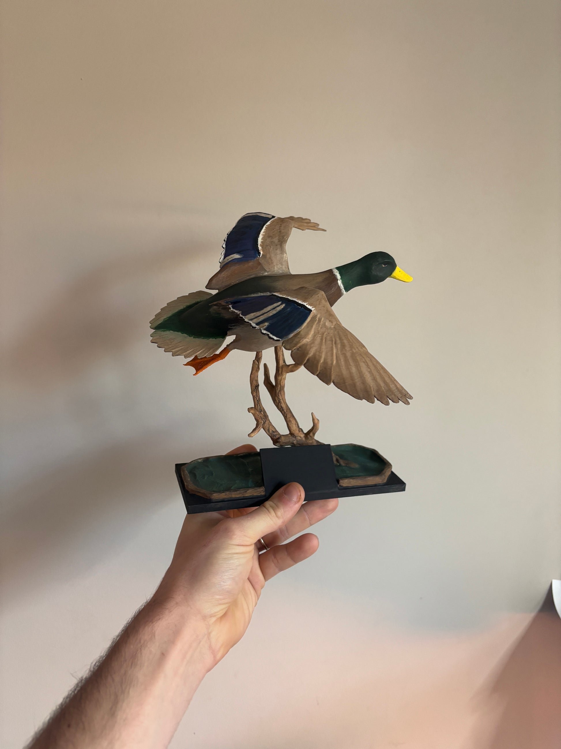 mini duck mount, replica duck mount, waterfowl mounts, mini waterfowl mount, mini replica mount, mini muley