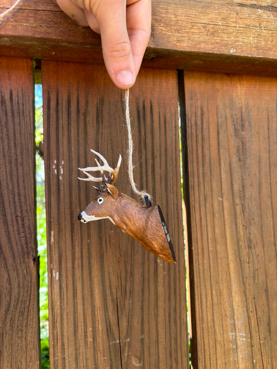 Replica Trophy Mounts | Rutt's Mini Mounts – Raccoon Rigs