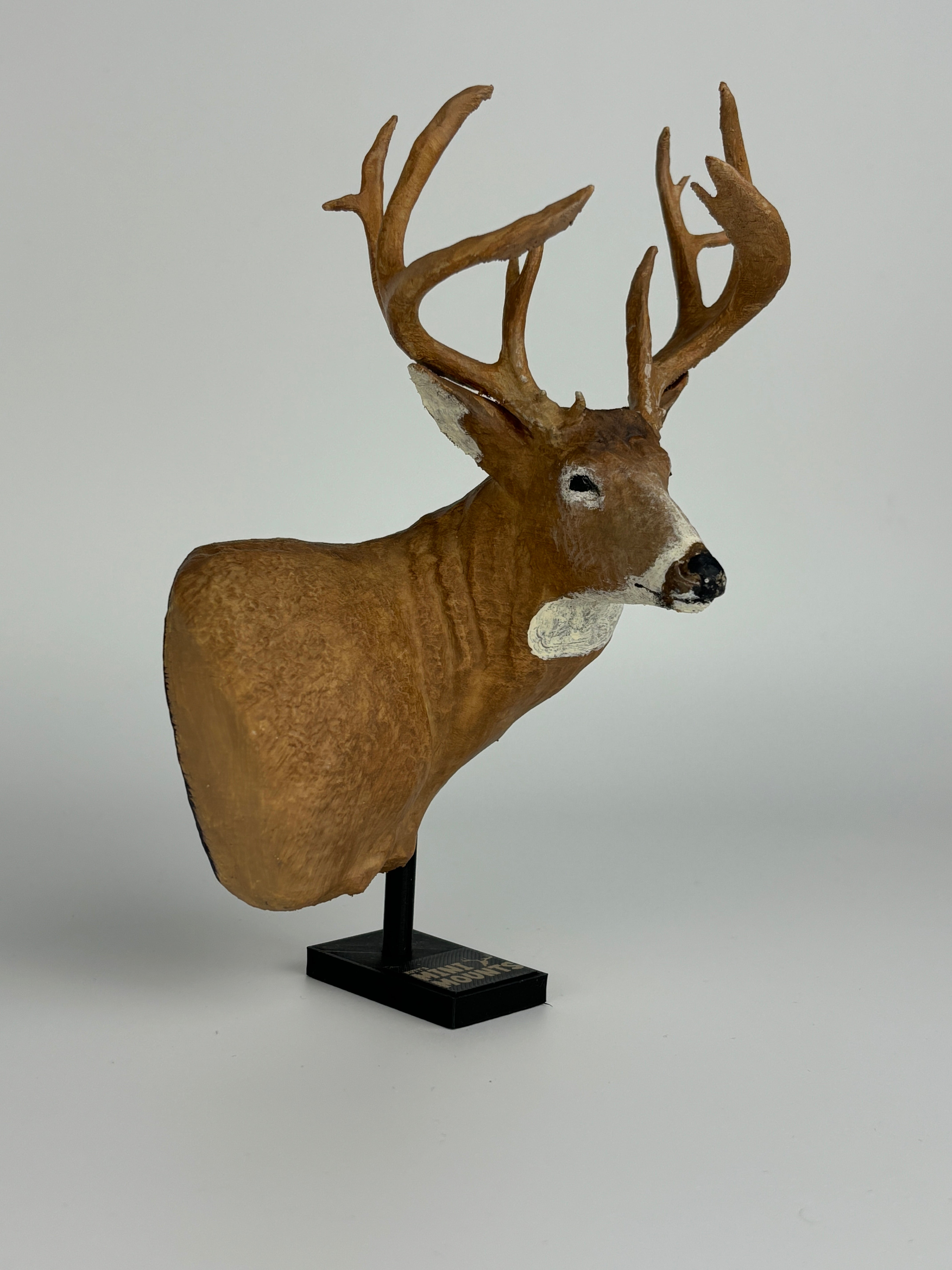 Replica Trophy Mounts | Rutt's Mini Mounts – Raccoon Rigs