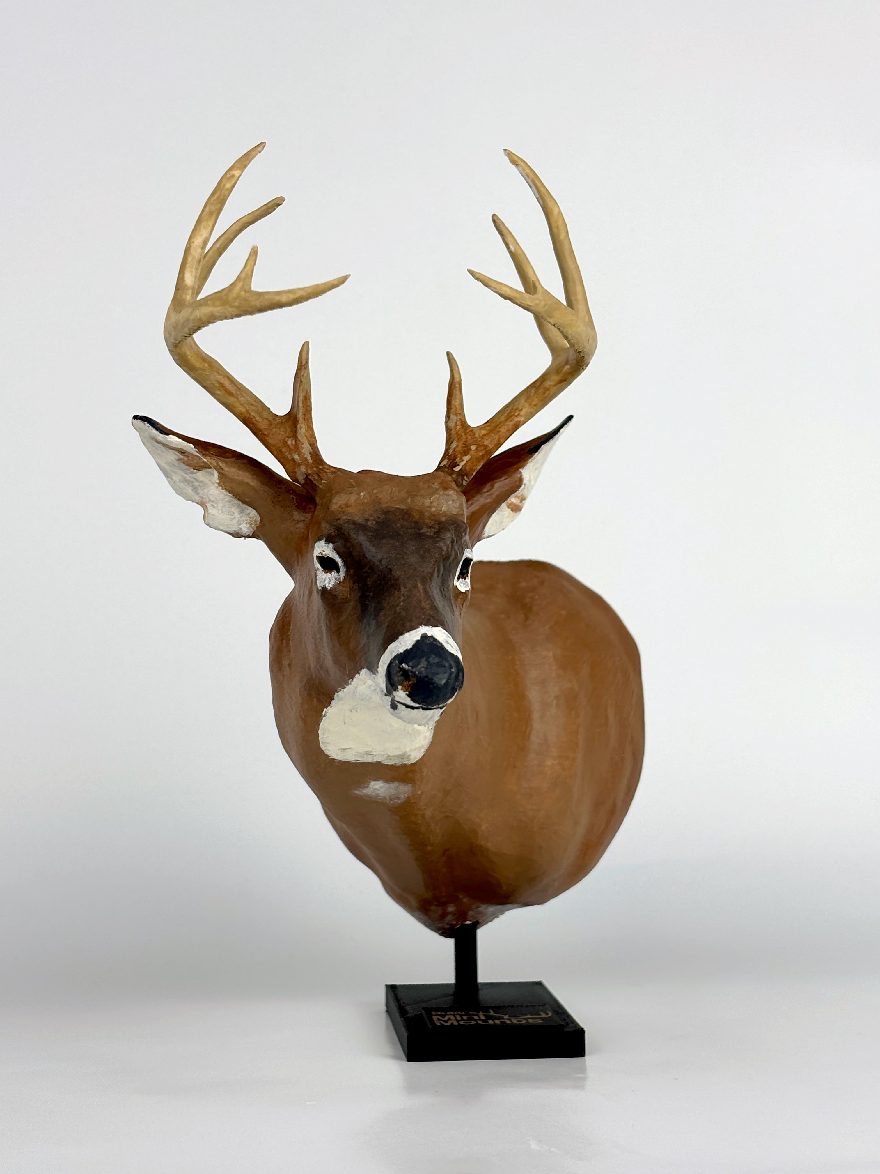 Replica Trophy Mounts | Rutt's Mini Mounts – Raccoon Rigs