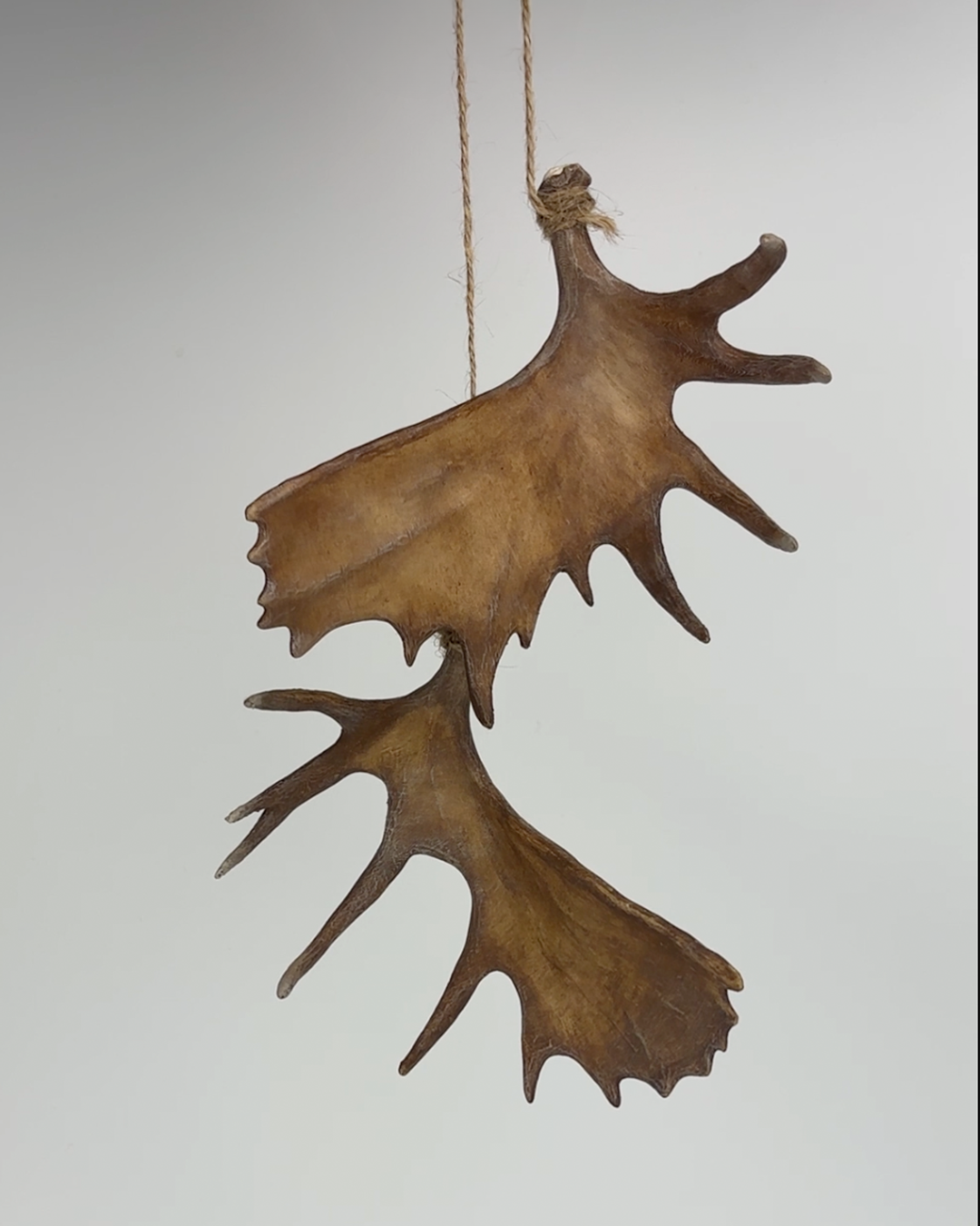 All Products – Raccoon Rigs