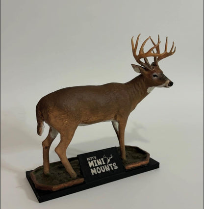 mini whitetail mount, mini deer mount, mini muleys, mini muley mount, mini full body deer mount, 18 outdoors, mr. majestic, michael perry alabama, alabama state record book buck, muzzleloader buck, state record buck replica