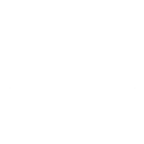 Raccoon Rigs